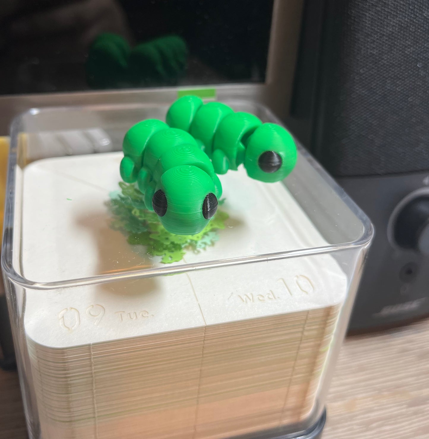 Small Caterpillar Desk Friend