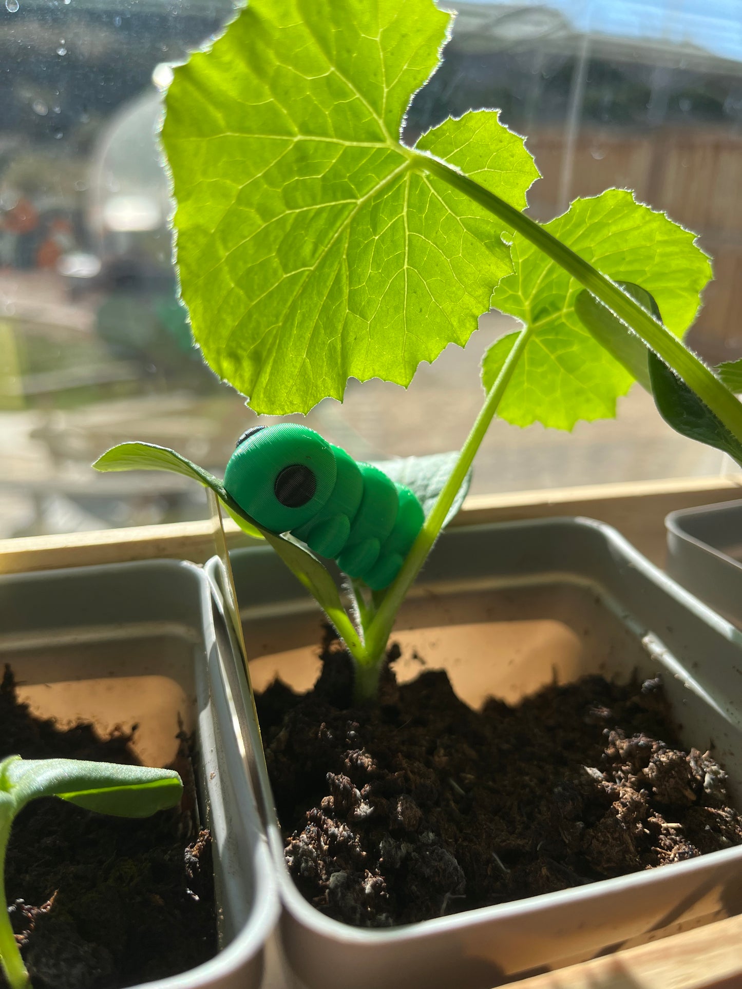 Small Caterpillar Desk Friend