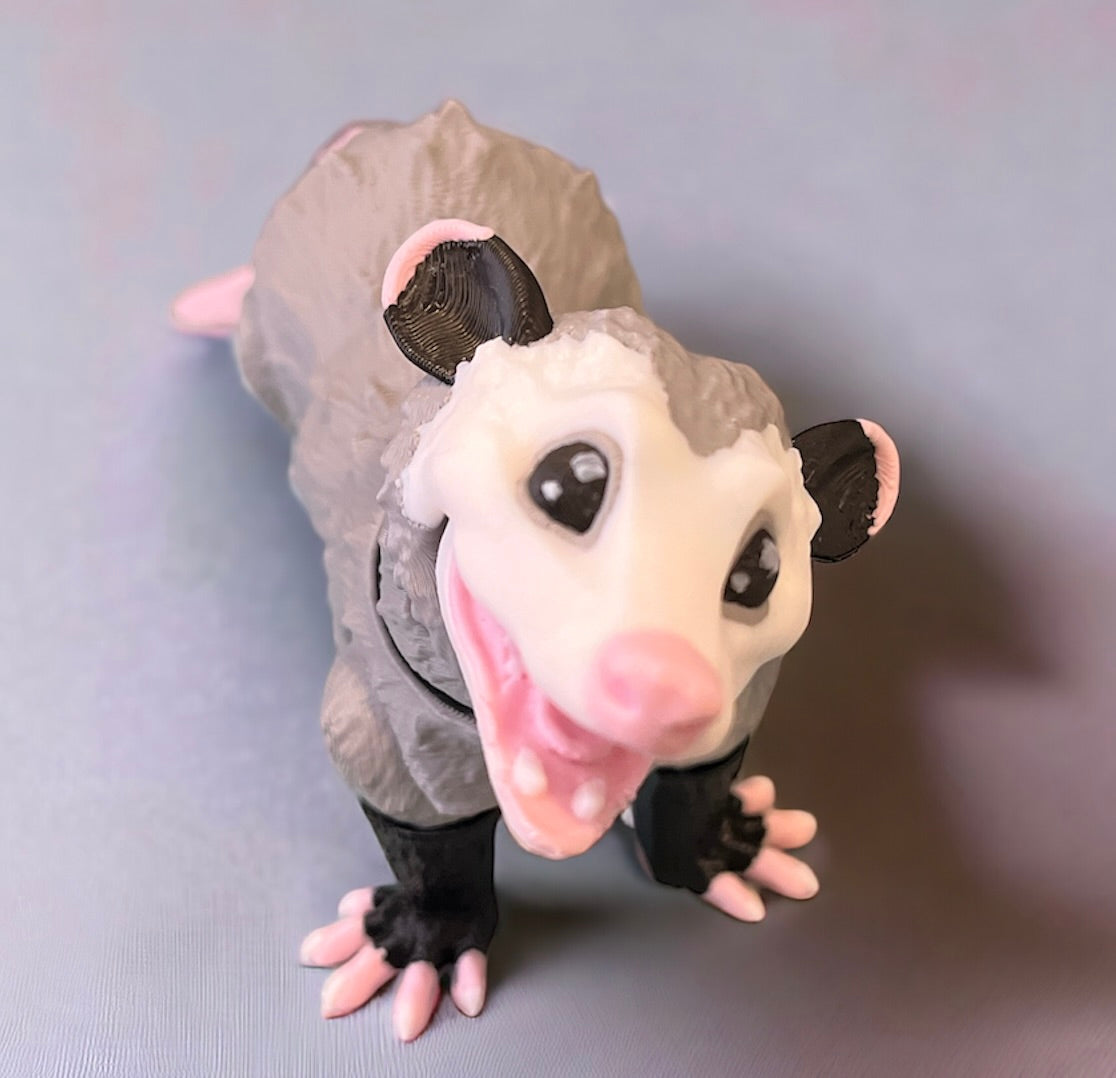 Littlest Opossum