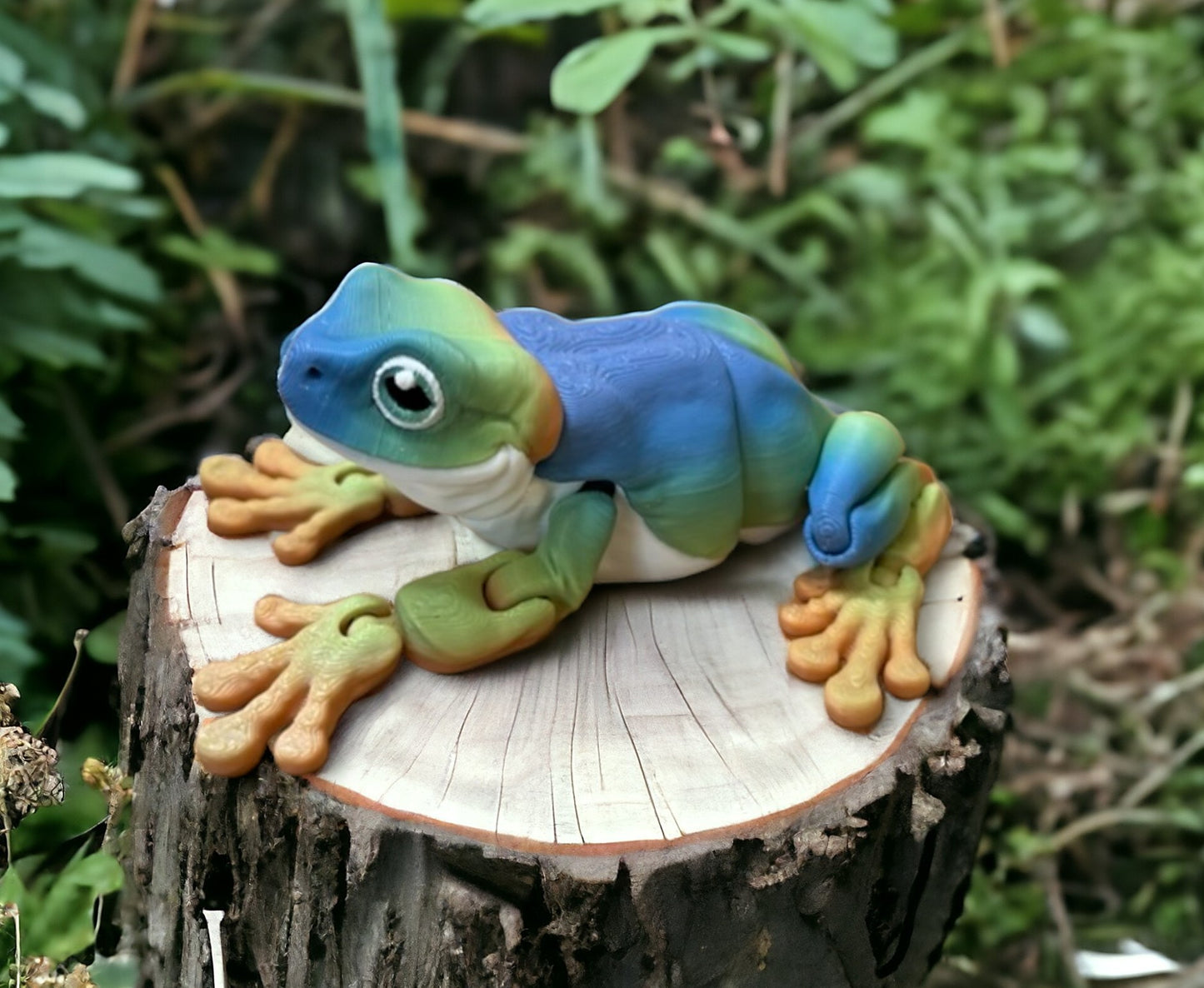 Limited Color Run Rainbow - White's Tree Frog